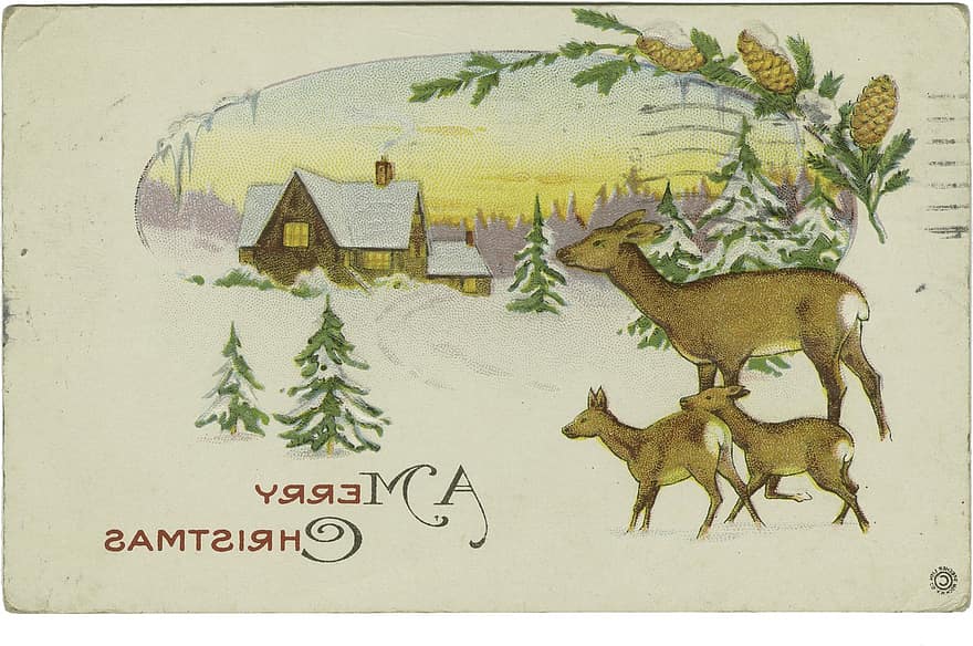 hari Natal, rusa, musim dingin, xmas, liburan, salju, hewan, rumah, dingin