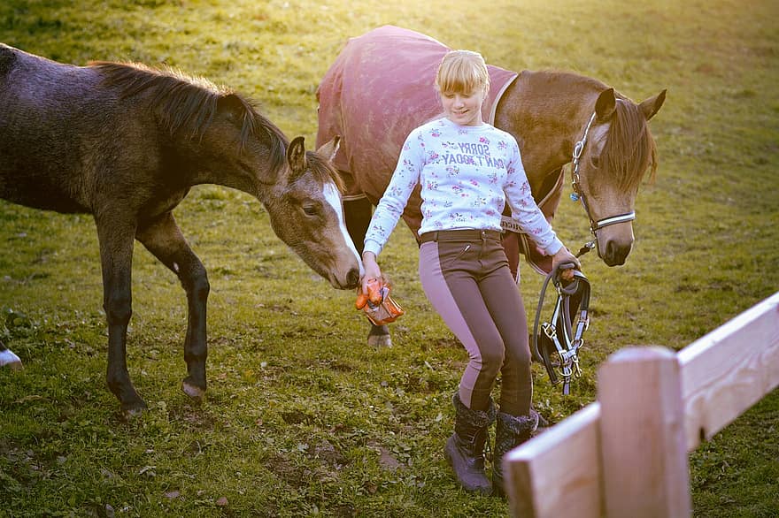 лошади, девушка, выгон, забор, ранчо, ферма, семейства лошадиных, наездник, пони, жеребенок, ребенок