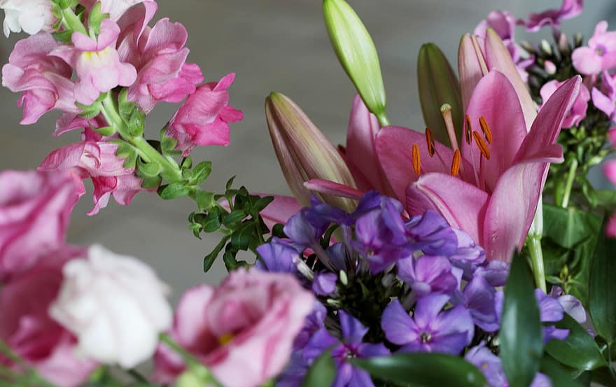 pušķis, lilija, floksis, snapdragon, ziedi, rozā, romantisks, vasarā