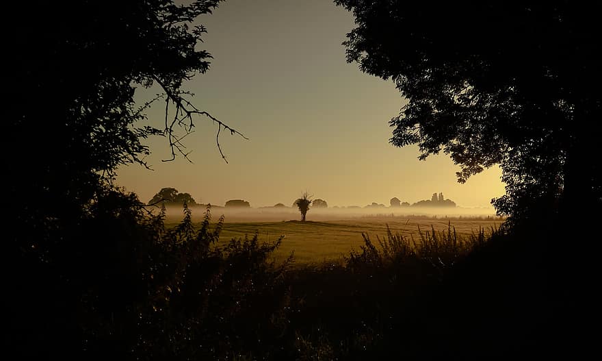 Napkelte, mező, köd, reggel köd, természet, misztikus, vidéki táj, tájkép