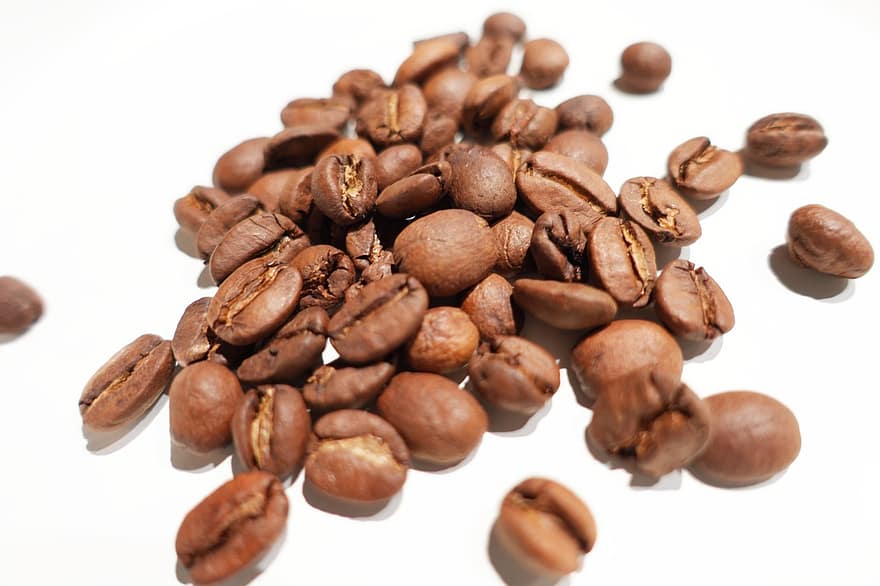 kaffe, kaffebönor, rostad, koffein, mat, producera, organisk