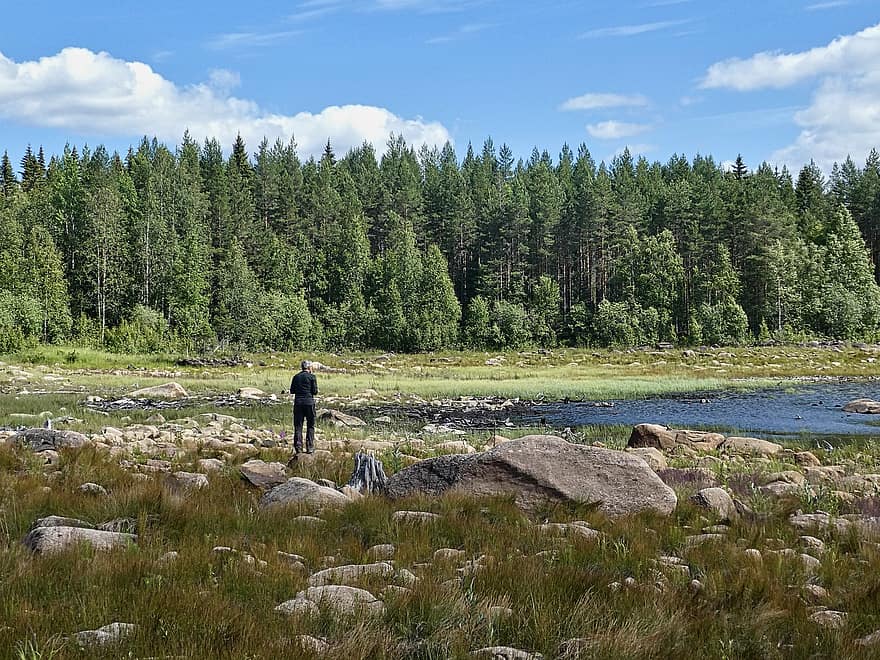 Nature, Lake, Rocks, Meadow, Trees, Forest, Man, Leisure, Relaxation, Shore, Landscape