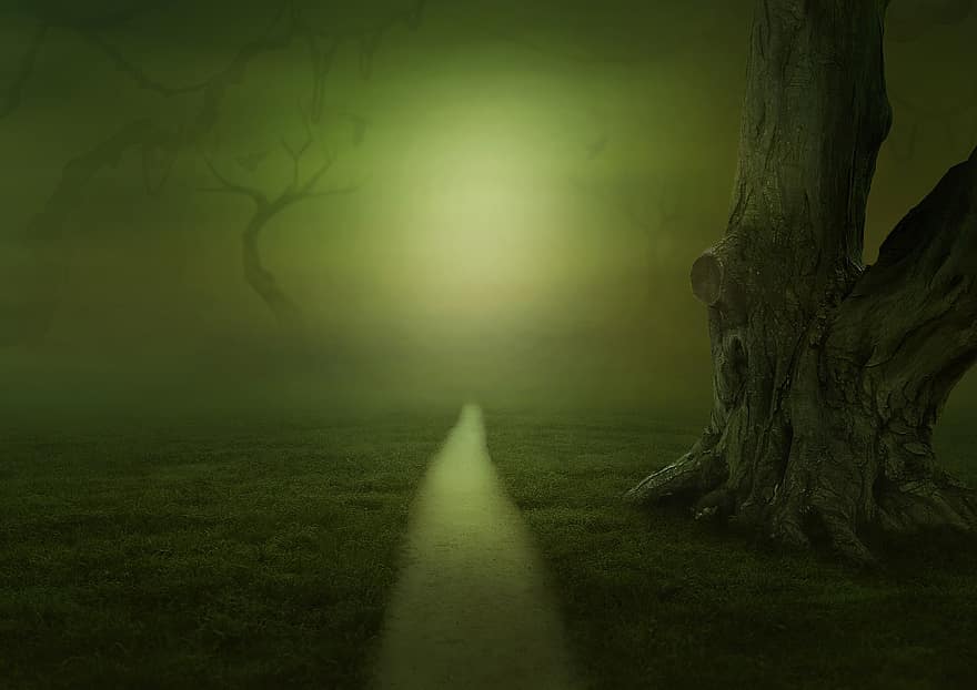 Fantazja, drzewa, mgła, ścieżka, krajobraz, łąka, splatać, kopać, z dala, oświetlenie, zdjęcie w tle