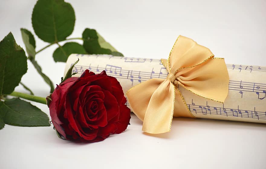 rose rouge, la musique, partition, Chansons, concert, chorale, faire de la musique, instrument de musique, instrument, amour de la musique, cadeau