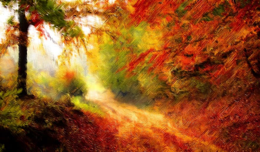 δρόμος, δάσος, εποχή, φθινόπωρο, πτώση, τοπίο, φύση, φως, πρωί, πολύχρωμα, φύλλα