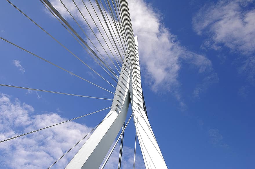 Bridge, Rotterdam, Netherlands, Architecture, Port