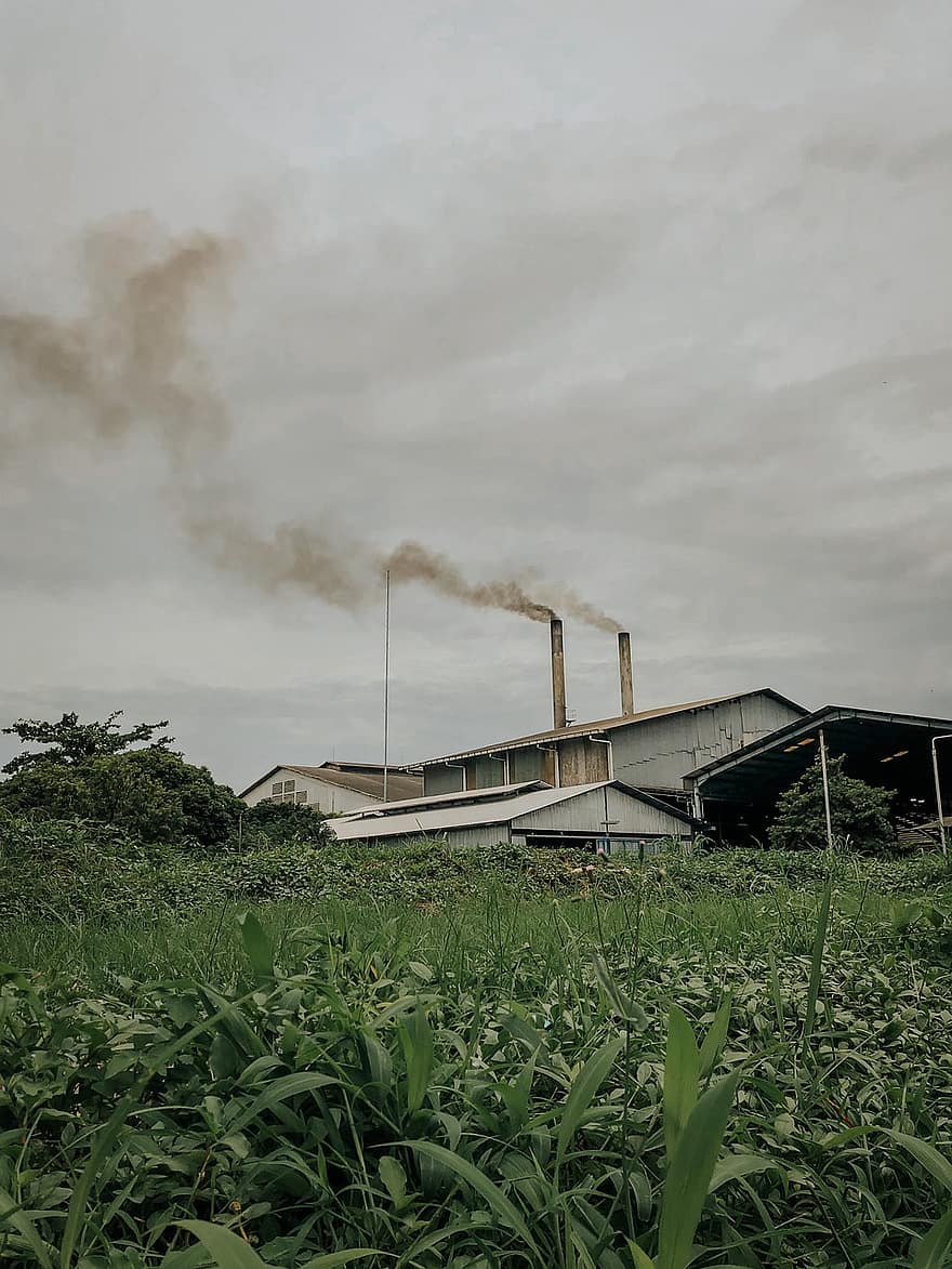 gyár, környezetszennyezés, szén, növény