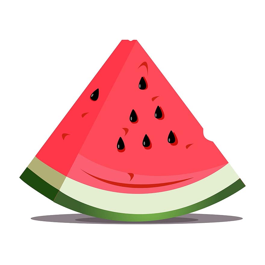 frugt, vandmelon, sød, mad, moden, skive, organisk, tropisk, tegning, sommer, illustration