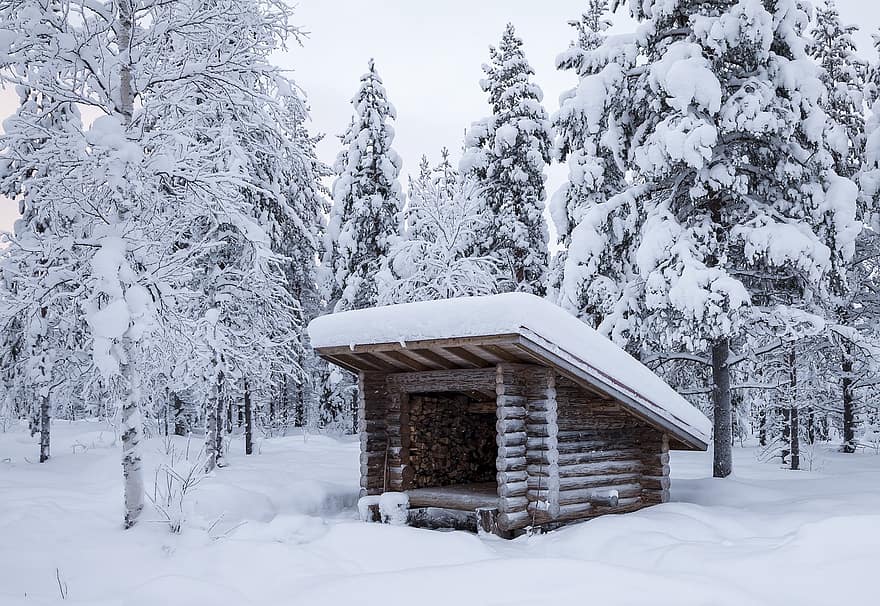 adăpost, iarnă, pădure, zăpadă, Laponia, Finlanda, peisaj