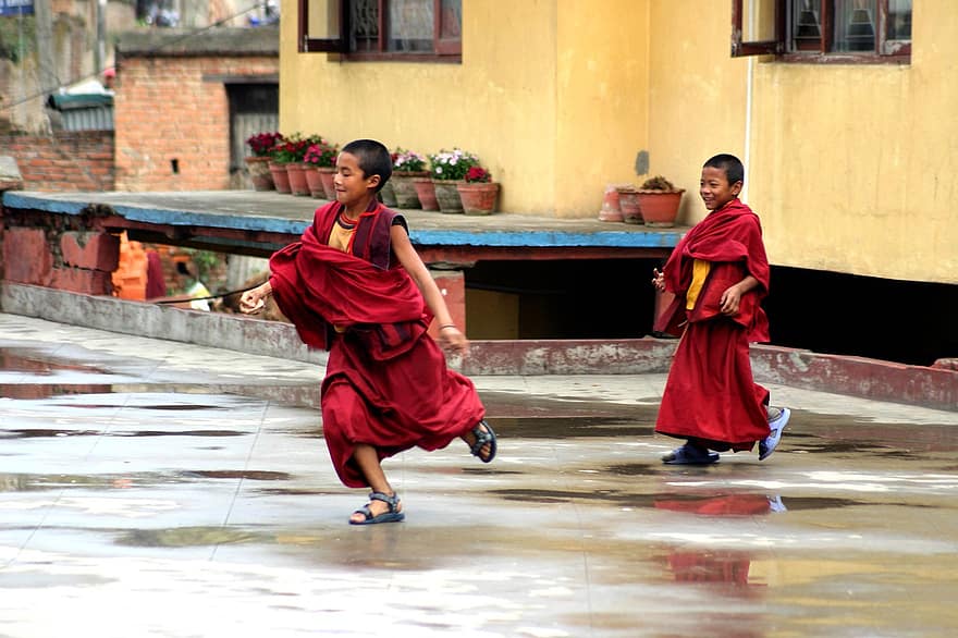 budismo, monjes, Nepal, leyenda, gente, muchachos