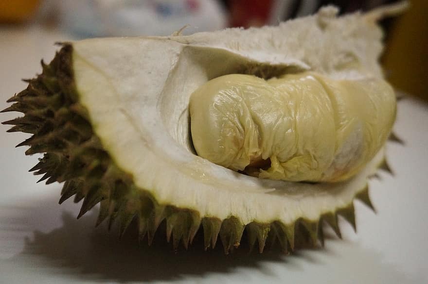 durian, frugt, mad, frisk, sund og rask, moden, organisk, sød, fremstille, høst, landbrug
