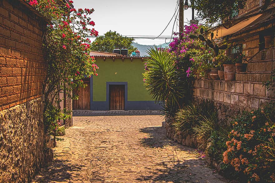 gate, bakgate, mexico, Malinalco, hus, blomster, fasade, arkitektur, vår, blomst, bygge eksteriør