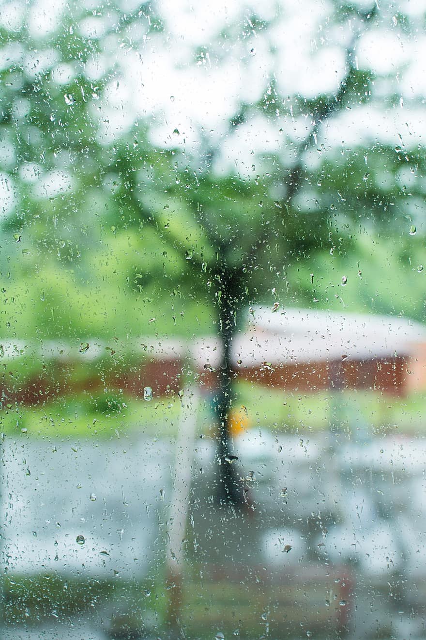 regn, droppar, Droppar På Fönstret, fläck, bokeh, gård, väder, fönster, mulen, moln, tråkig