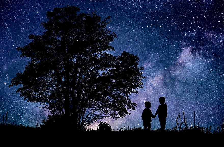 Couple, Tree, Sky, Night, Silhouette, Landscape, Together