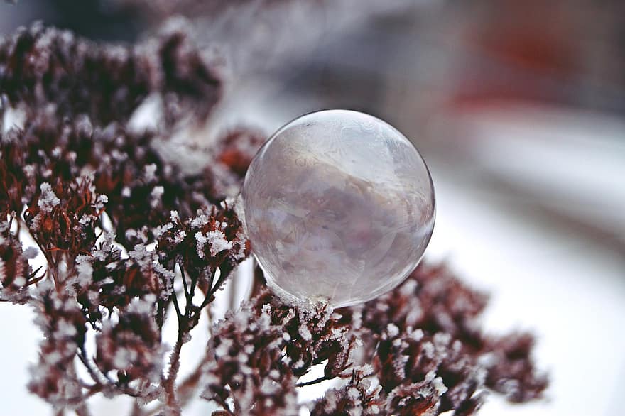 Sušalęs muilo burbulas, dulkių, žiemą, šalčio, žiemos