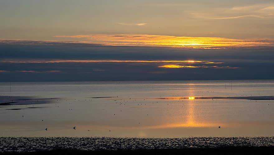 Texel, Sea, Sunrise, Dawn, Morning, Sunlight, Sky, Clouds, Horizon, Reflection, Water