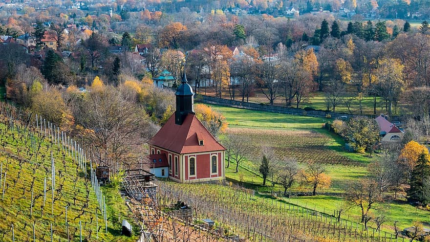 szőlőültetvény templom, szőlőskert, Pillnitz, templom, fák, ősz, falu, épület, tájkép, Németország, Pillnitz Weinbergkirche