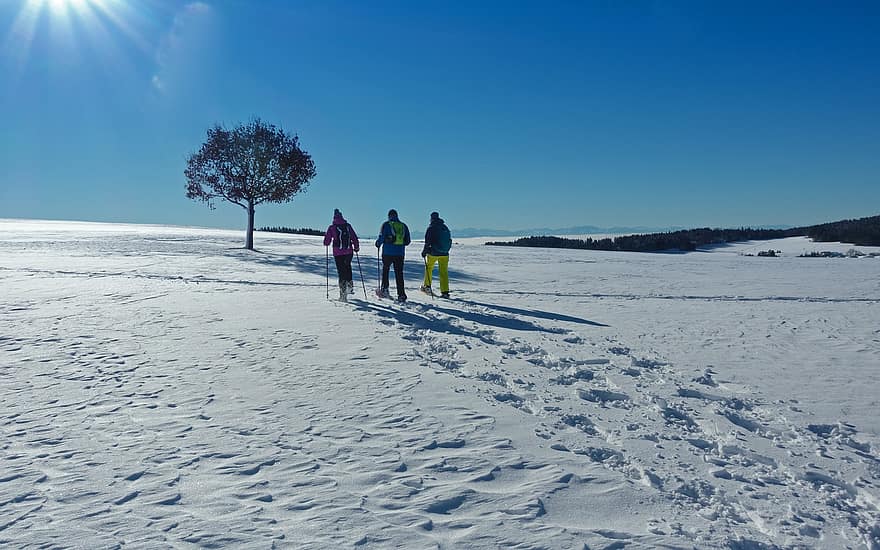 snowshoeing, हिमपात, मनोरंजक खेल, रवि, खेल, स्वास्थ्य, सर्दी, पुरुषों, पर्वत, महिलाओं, पेड़