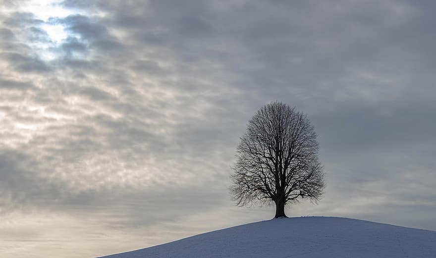 talvi-, lumi, mäki, puu, taivas, pilviä, maisema, luonto, kylmä, talvimaisema, pilvi