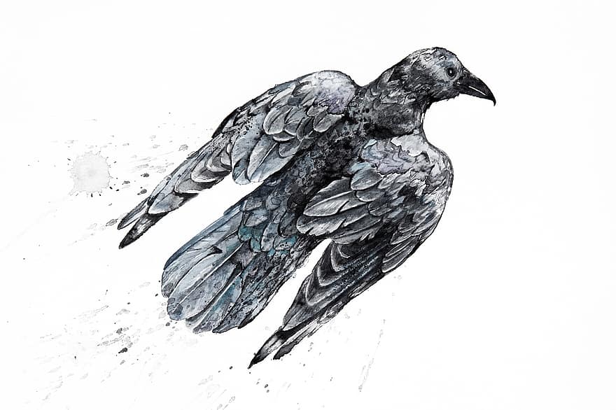 Watercolor, Watercolour, Crow, Black, Bird, Grunge, Horror, Painting, Creative, On, Paper