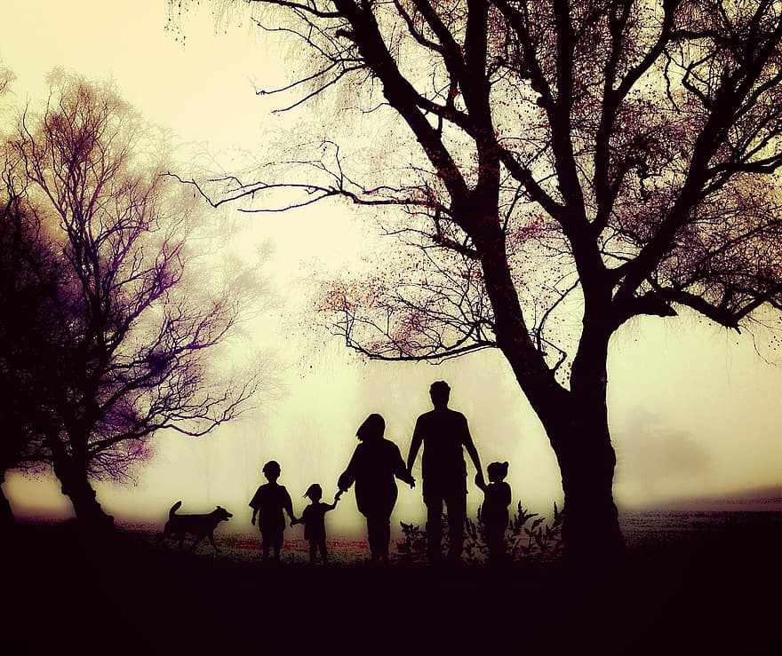 家族、歩く、余暇、自然、ハイキング、子供、人間、霧、もっと、行く、離れて