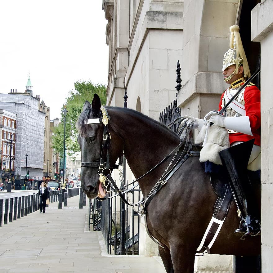 馬ガード、ガード、制服、うま、兵士、軍事、ロンドン