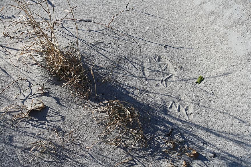 Footsteps, Sand, Footprints, Serenity, Serene