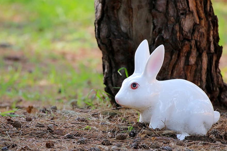 토끼, 인형, 도예, 자연, 나무, 하얀 토끼, 숲, 동물, 경치, 수목원, 귀엽다
