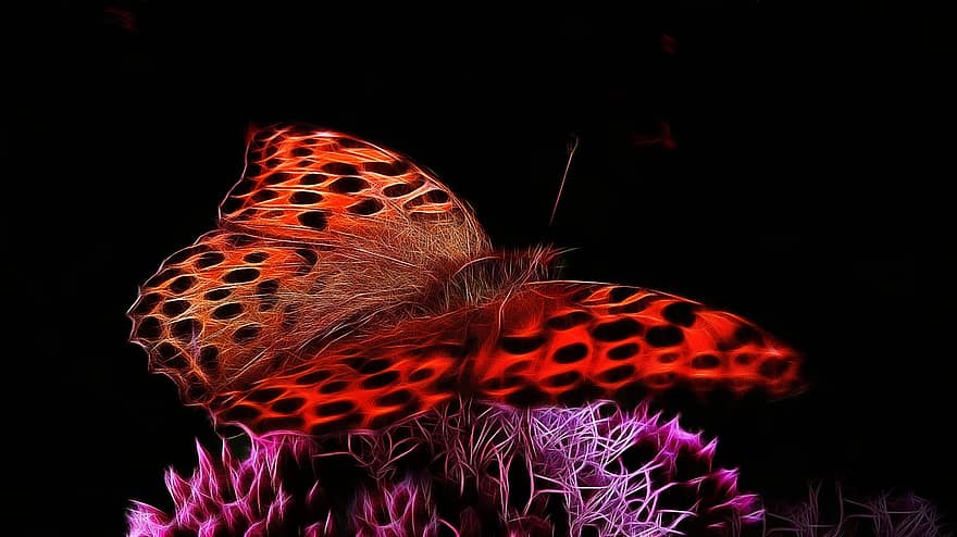 fractalius, pärlemorfärgamor, fjäril, röd fjäril, edelfalter, insekt