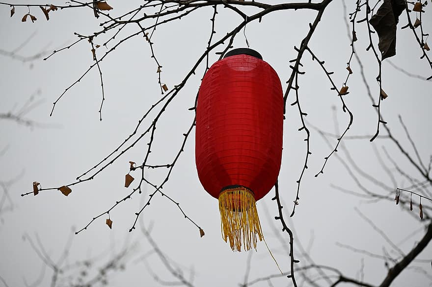 Lantern, Festival, Decoration, Traditional, cultures, celebration, chinese culture, traditional festival, chinese lantern, hanging, winter