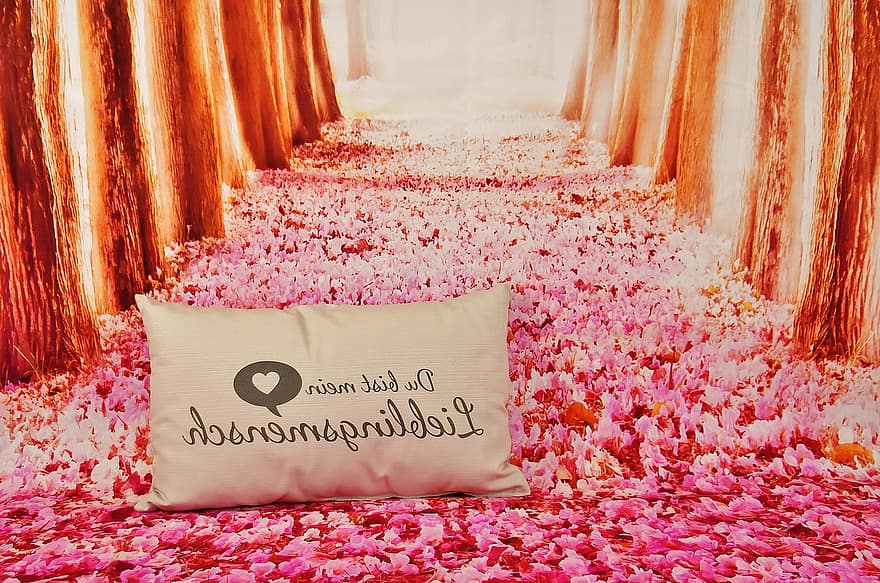 Sevgililer Günü, Aşk, favori insan, yastık, orman, cadde, tebrik kartı, romantik, bağlantılılık
