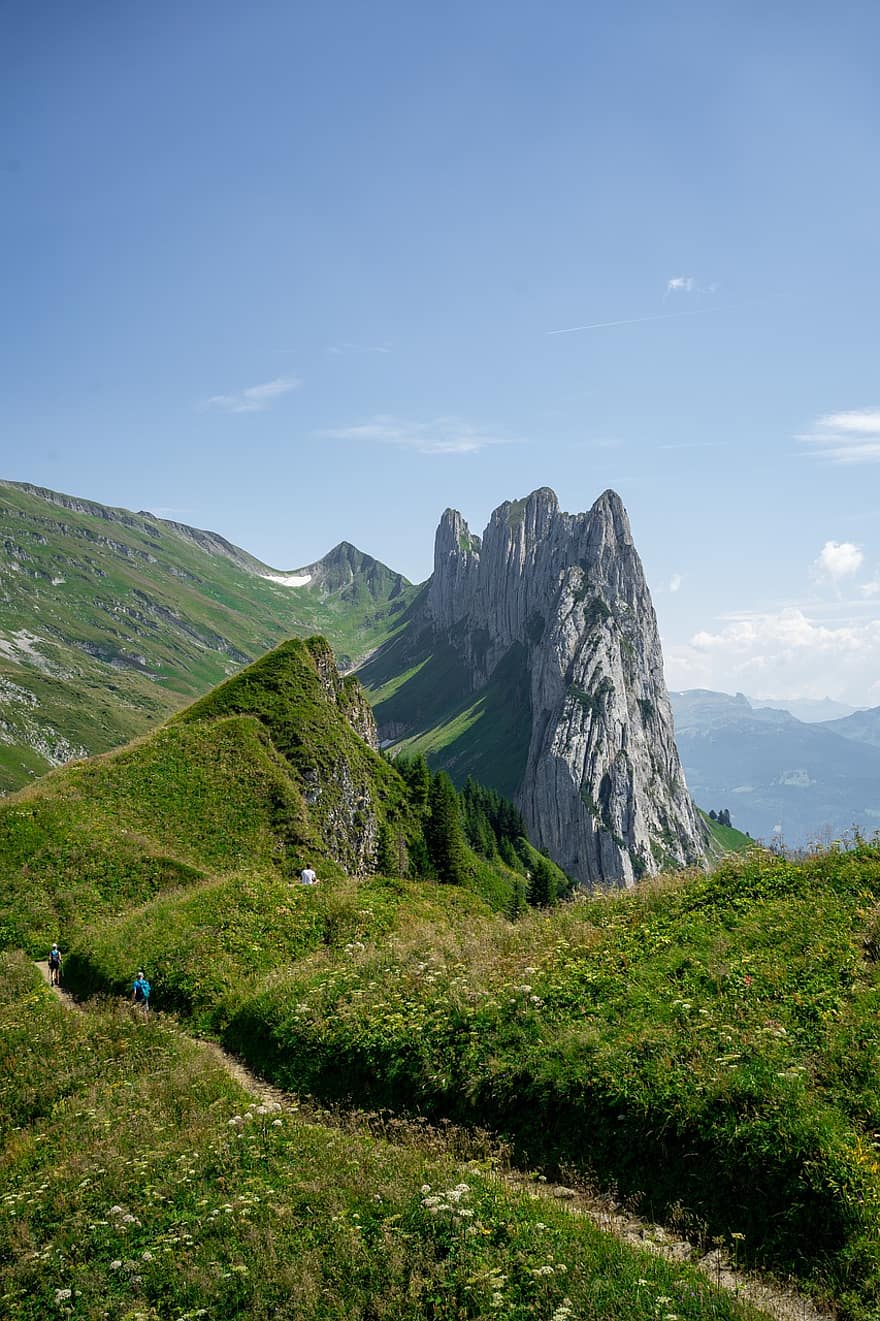 hegy, fű, legelő, csúcstalálkozó, vakáció, természet, tájkép, svájci