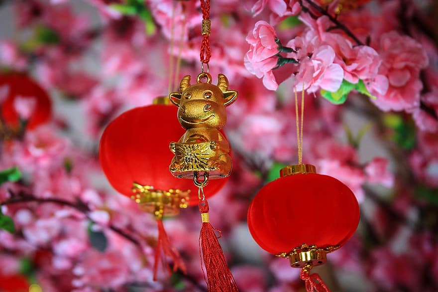 decorazione cinese, ornamento, fiore di ciliegio, sospeso, decorazione, arredamento, Capodanno cinese, avvicinamento, La bellezza della scena, gli sport, mattina