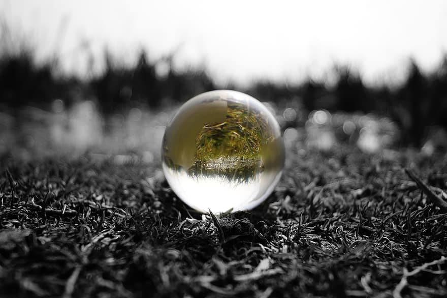 stikla sfēra, raksturs, ainavu, jomā, zāli, tuvplāns, vidi, pārdomas, stikls, zaļā krāsa, bumba
