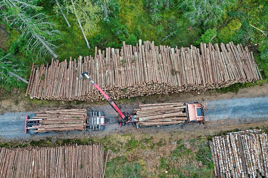 Forest, Spruce, Logging, Logging Truck, Loading, Transport, Logs, Woods, Trees, Forestry