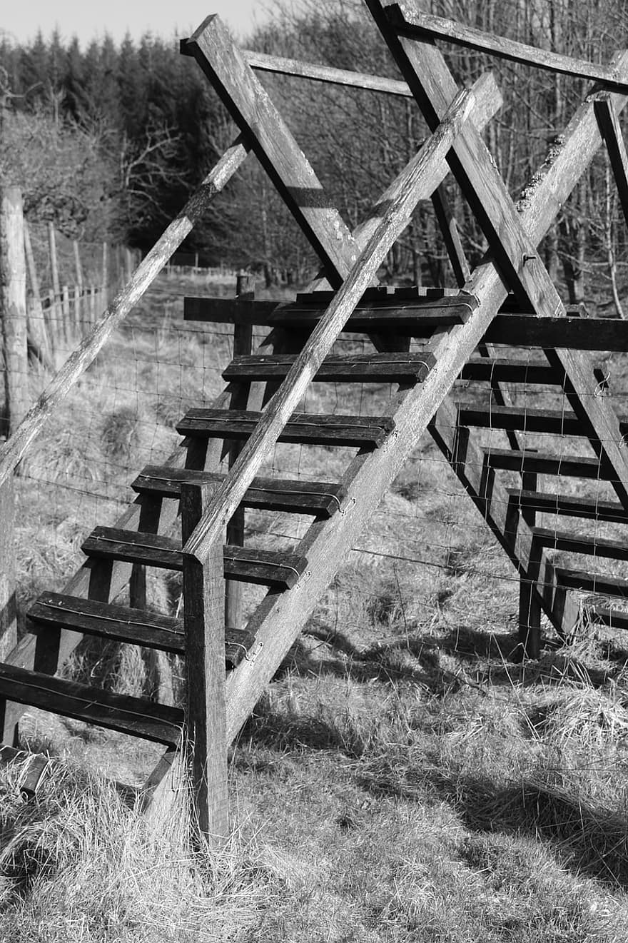 Stairs, Wood, Texture, Frame, Cross, Nature, Scotland, staircase, old, architecture, black and white