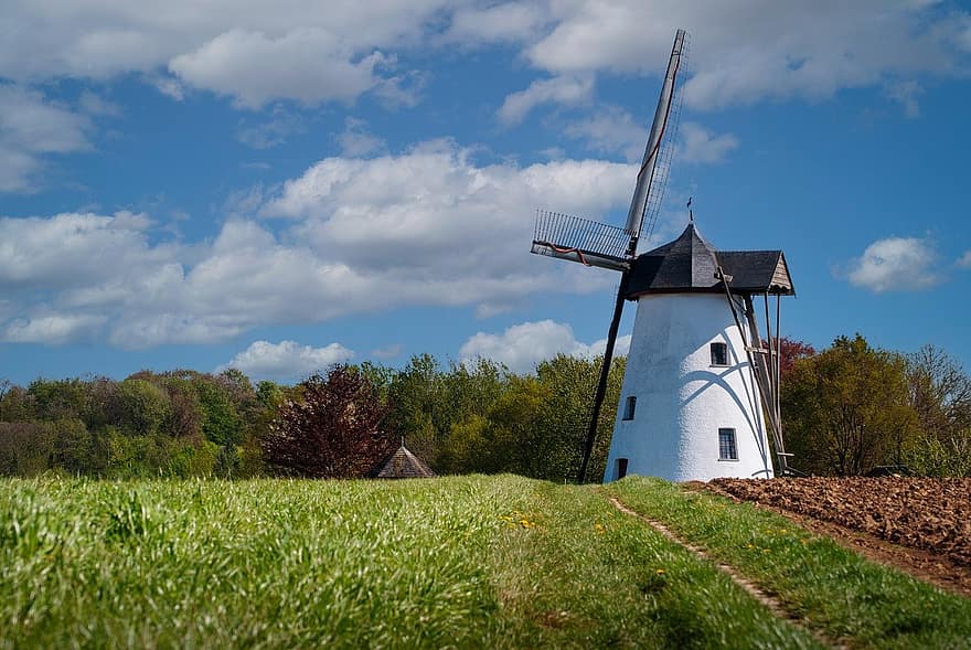 vindmølle, Belgisk vindmølle, landskabet, landskab, landlige scene, gård, sommer, arkitektur, eng, græs, blå