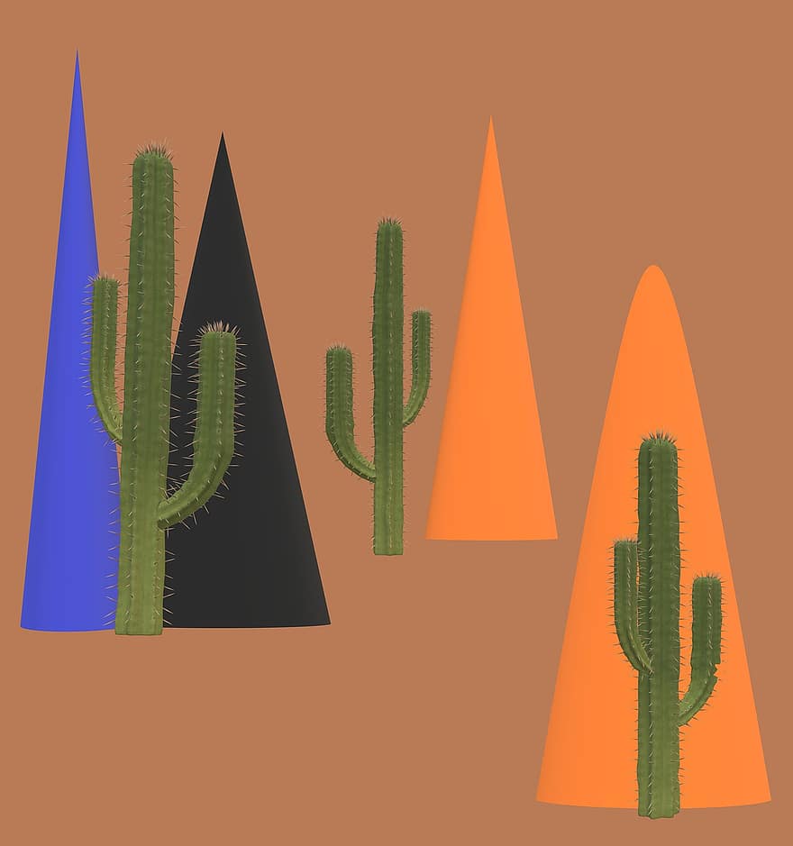 kaktus, anlegg, ørken, kjegle, abstrakt, Kunst, falle, Sirkel kaktuser, brosjyre, landskap