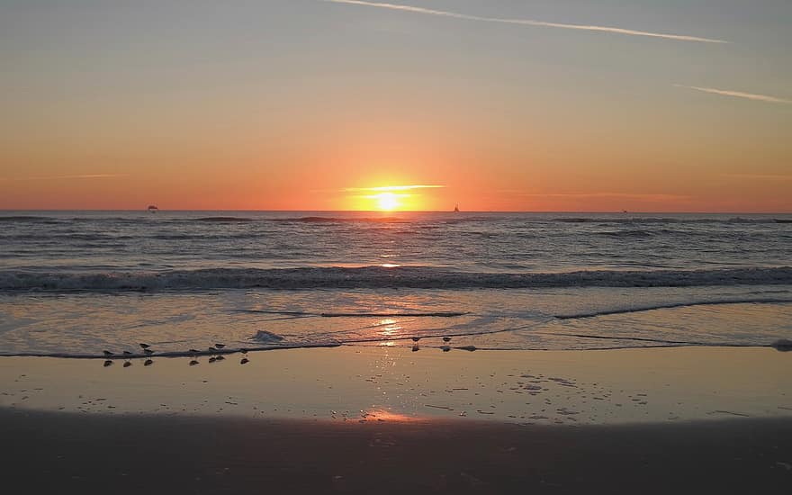 日の出、海、ビーチ、黄、オレンジ、波、水、空、日没、自然、海岸