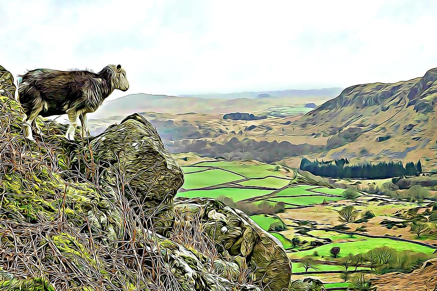 Eskdale, Herdwick, Landscape, Cumbria, Sheep, District, Lake, England, Animal, Farm, Nature