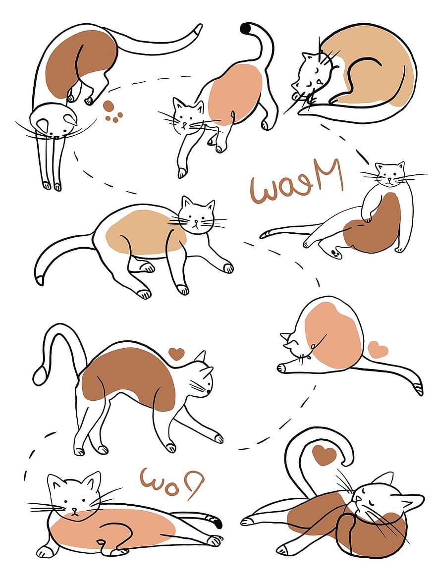 los gatos, Garabatos De Gato, Dibujos De Animales, animales