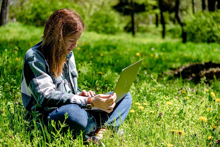 đàn bà, máy tính xách tay, đồng cỏ, đi chơi picnic, học tập, ngoài trời, giống cái, Thiên nhiên, đang làm việc, làm việc từ mọi nơi, Internet