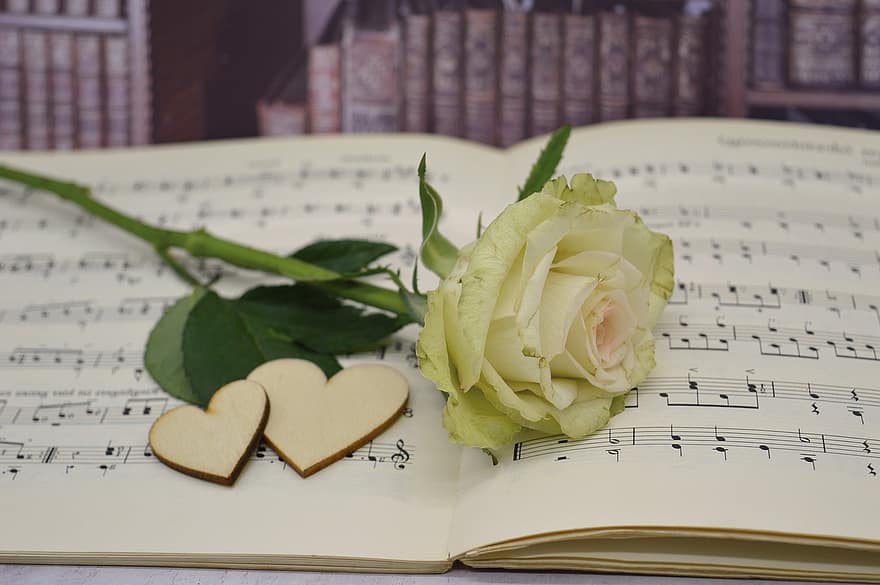 цветок, оценки, Роза, любовная песня, Музыка, сердца, любить, Песня на день рождения, песни, поздравление с днем ​​рождения, книга