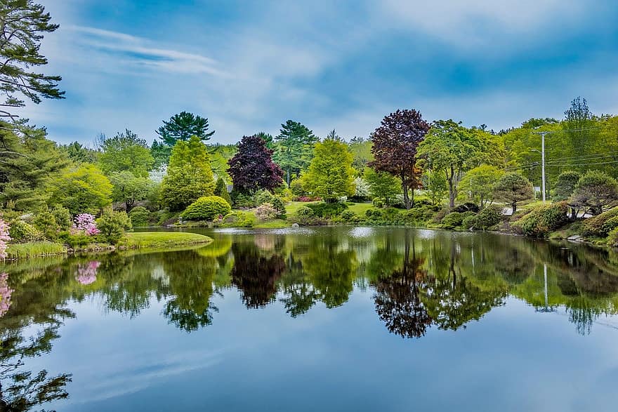 pond, garden, lake, forest, tree, summer, landscape, green color, water, reflection, blue
