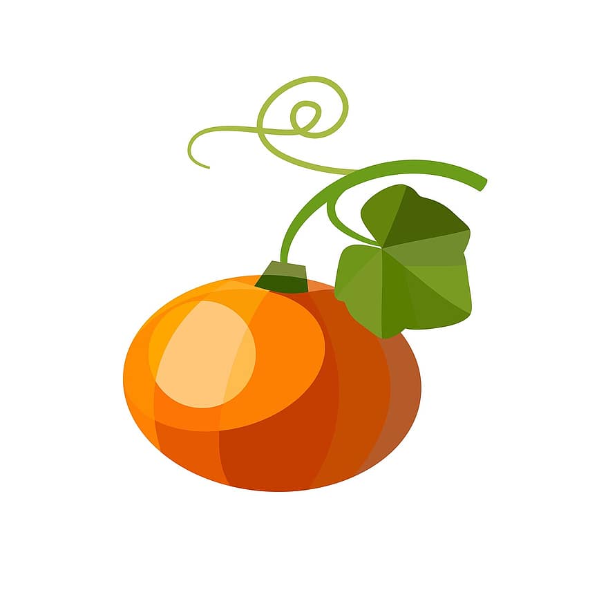 かぼちゃ、葉、フルーツ、オレンジ、黄、緑、カール、ハロウィン、青葉、若い、菜園