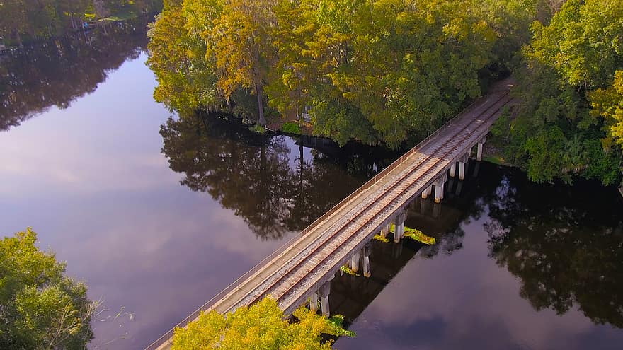 ブリッジ、湖、川、構造、線路、木、反射、フロリダ