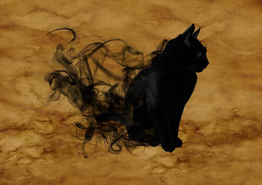 kat, surrealistisk, silhuet, mystisk, magi