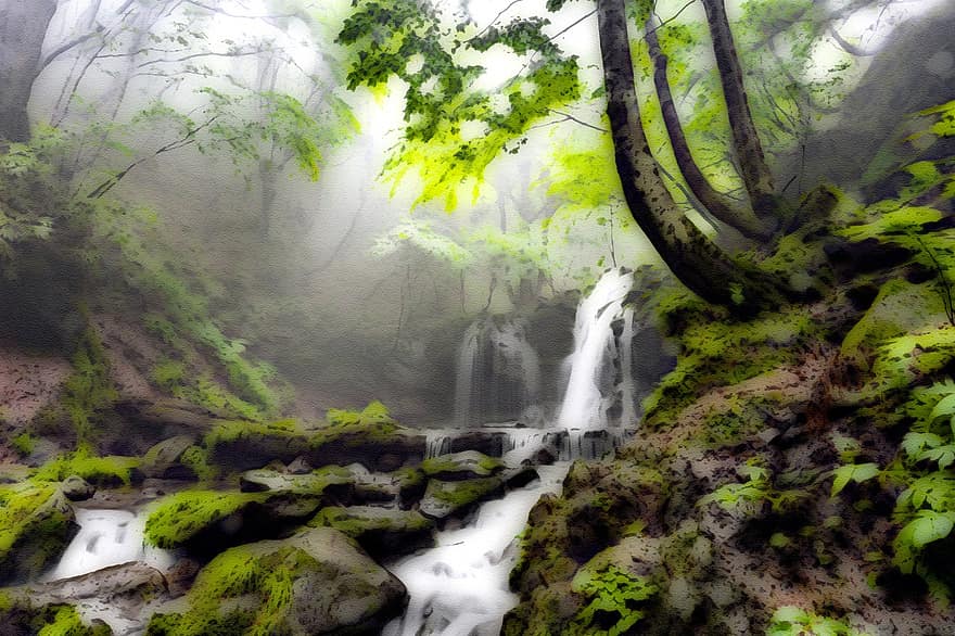 air terjun, lukisan, hutan, hutan beech, pemandangan, kabut, prefektur hyogo, Jepang, kreativitas, pohon, warna hijau