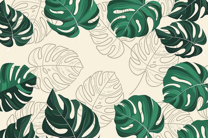 Leaves, Monstera, Background, Swiss Cheese Plant, Foliage, Tropical, Nature, Decorative, Decor
