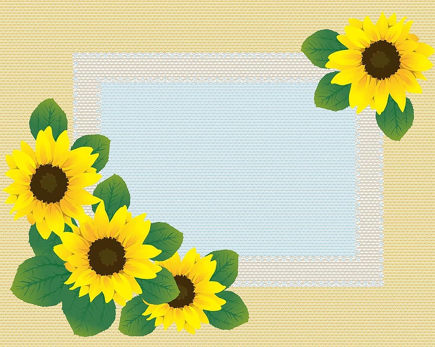Solros spets bakgrund, Solros papper, Solros digitalt papper, Spetspapper, papper, solros, ram, blommig, dekoration, hälsning, gul